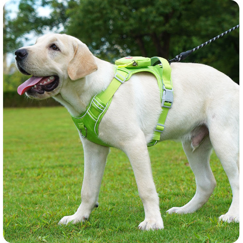 Adjustable Reflective Dog Harness with Leash