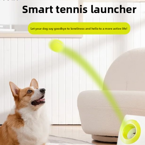 Automatic Pet Ball Launcher Toy