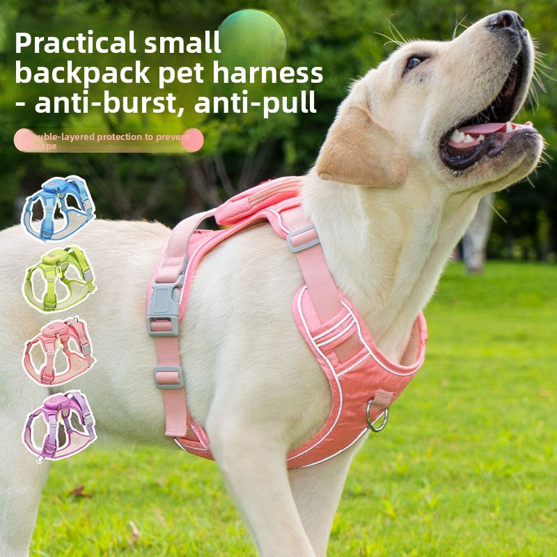 Adjustable Reflective Dog Harness with Leash